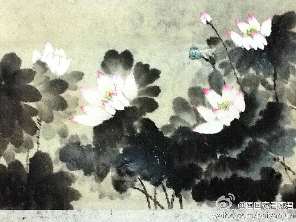 白燕君-荷花 (6)