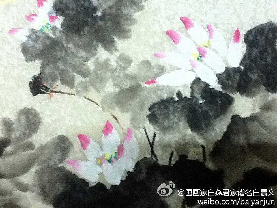 白燕君-荷花 (2)